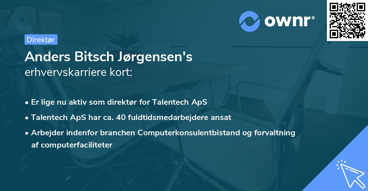 Anders Bitsch Jørgensen's erhvervskarriere kort