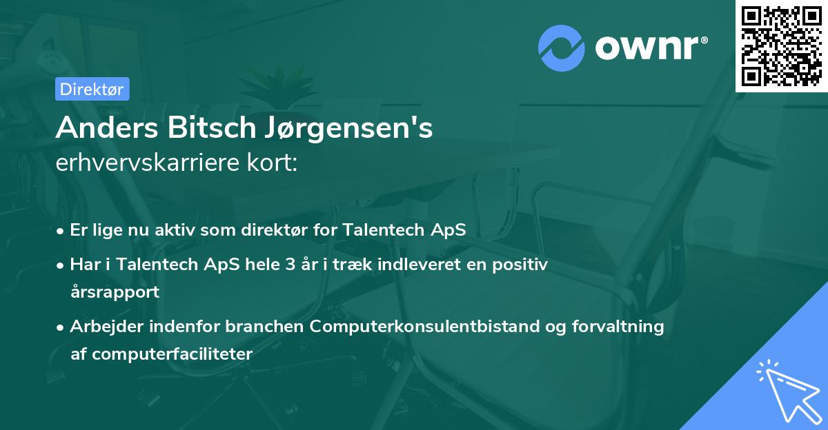 Anders Bitsch Jørgensen's erhvervskarriere kort