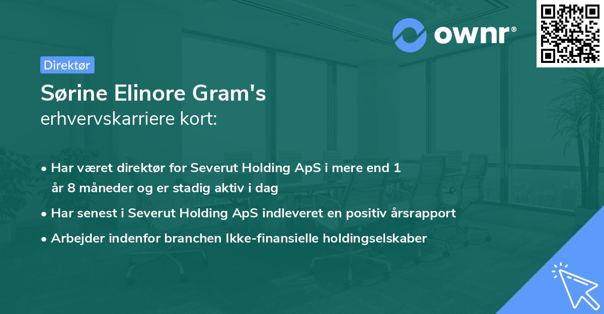 Sørine Elinore Gram's erhvervskarriere kort