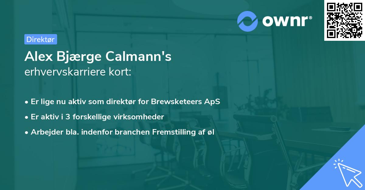Alex Bjærge Calmann's erhvervskarriere kort