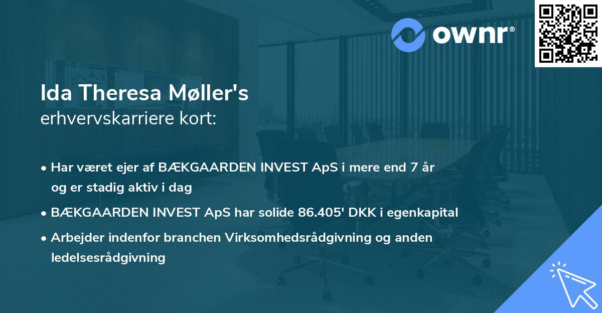 Ida Theresa Møller's erhvervskarriere kort