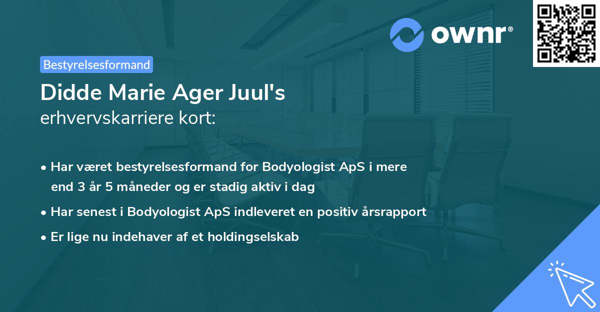 Didde Marie Ager Juul's erhvervskarriere kort