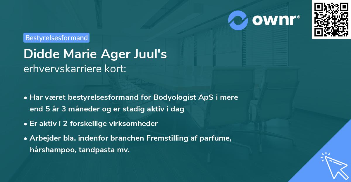 Didde Marie Ager Juul's erhvervskarriere kort