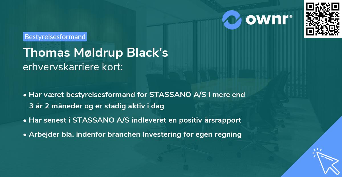 Thomas Møldrup Black's erhvervskarriere kort