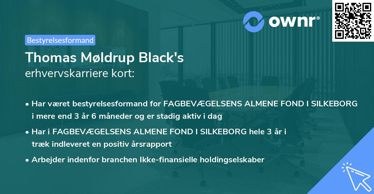 Thomas Møldrup Black's erhvervskarriere kort