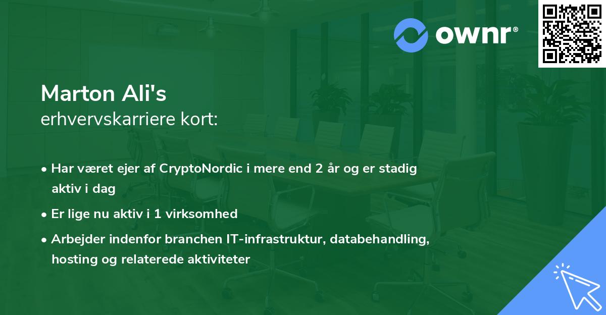 Marton Ali's erhvervskarriere kort