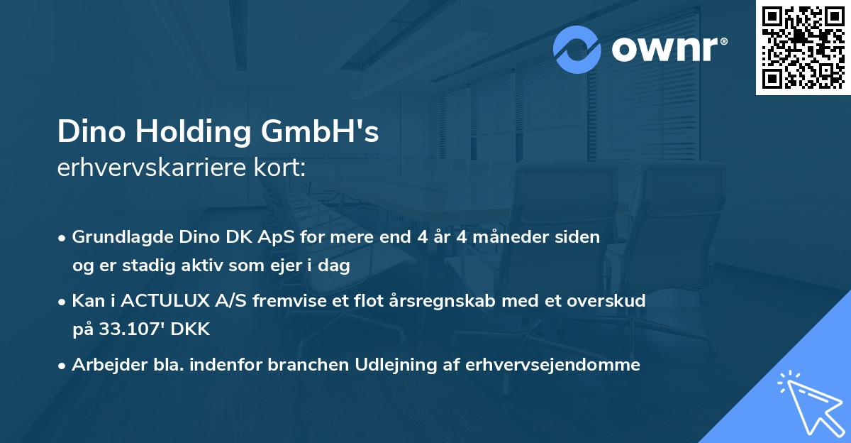 Dino Holding GmbH's erhvervskarriere kort