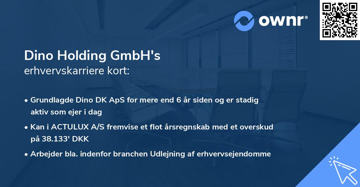 Dino Holding GmbH's erhvervskarriere kort