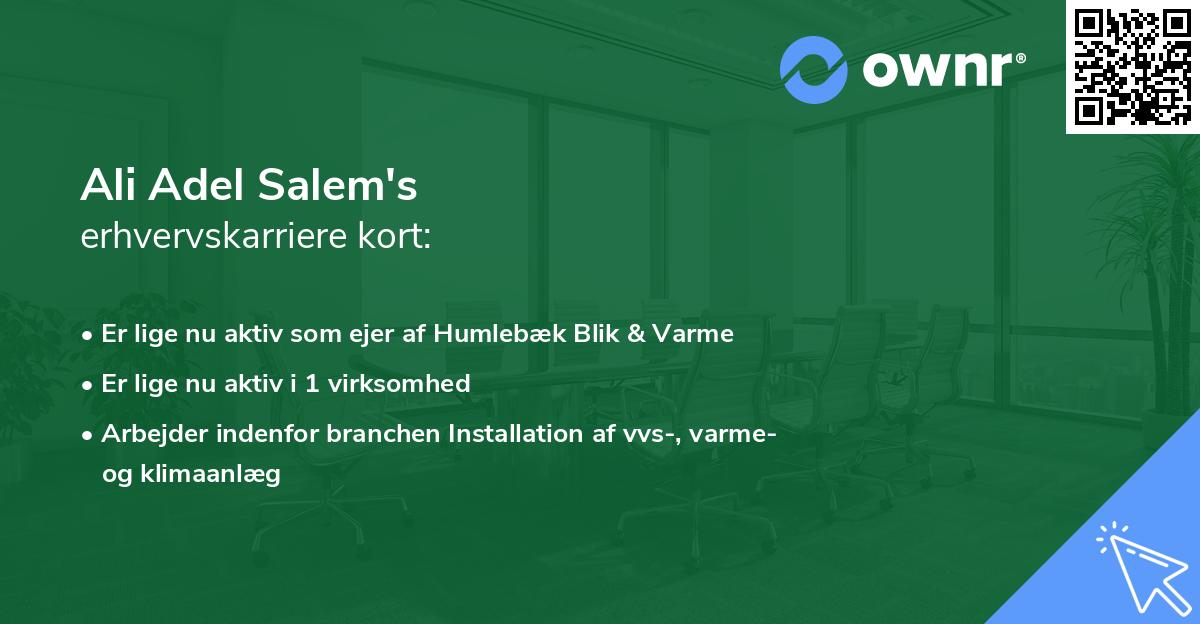 Ali Adel Salem's erhvervskarriere kort