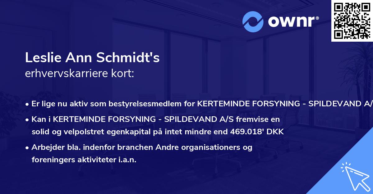 Leslie Ann Schmidt's erhvervskarriere kort