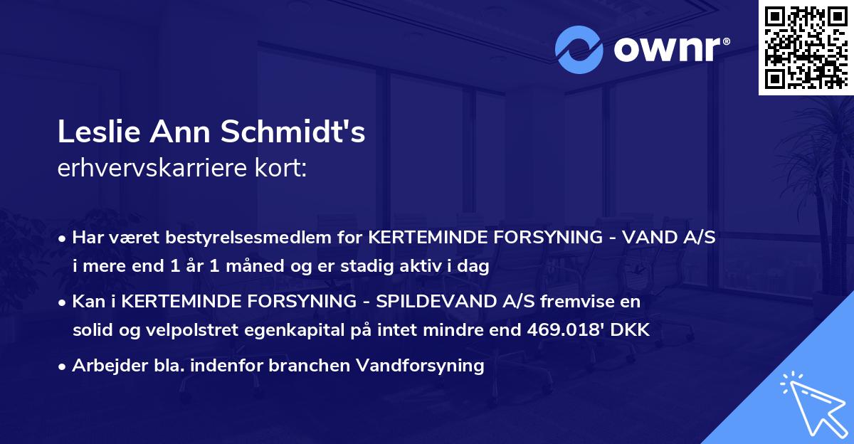 Leslie Ann Schmidt's erhvervskarriere kort