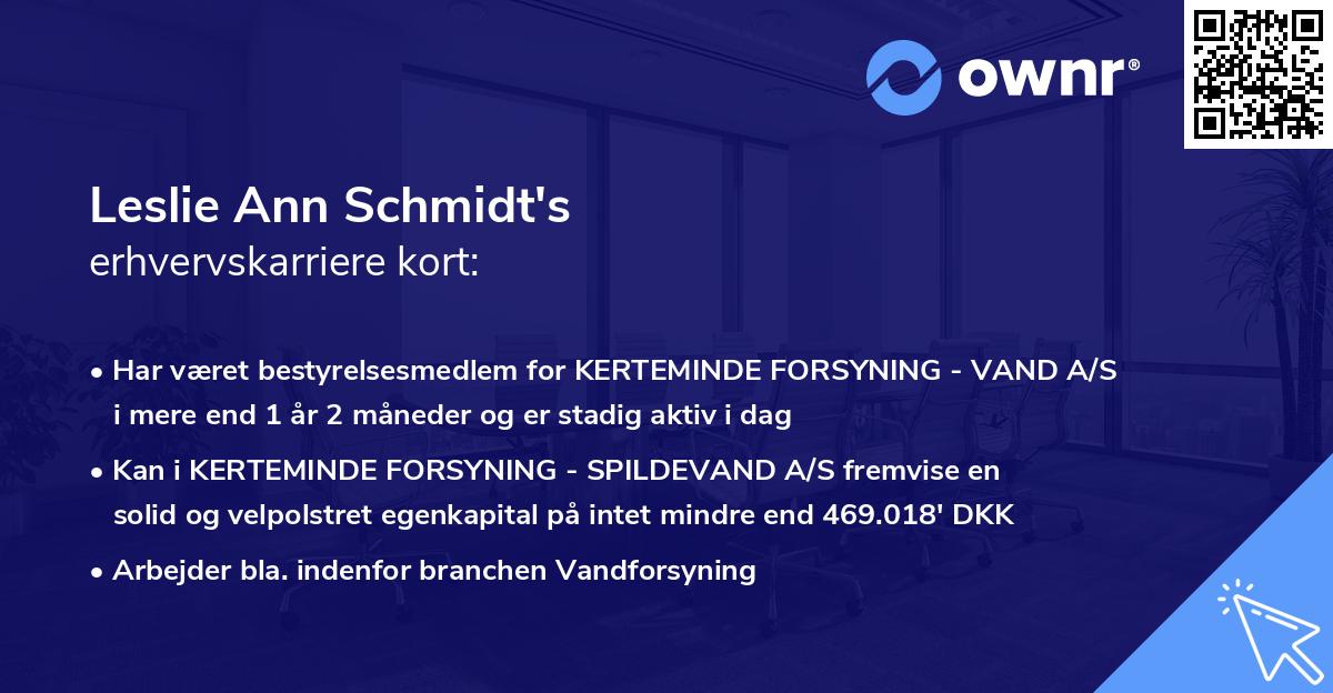 Leslie Ann Schmidt's erhvervskarriere kort
