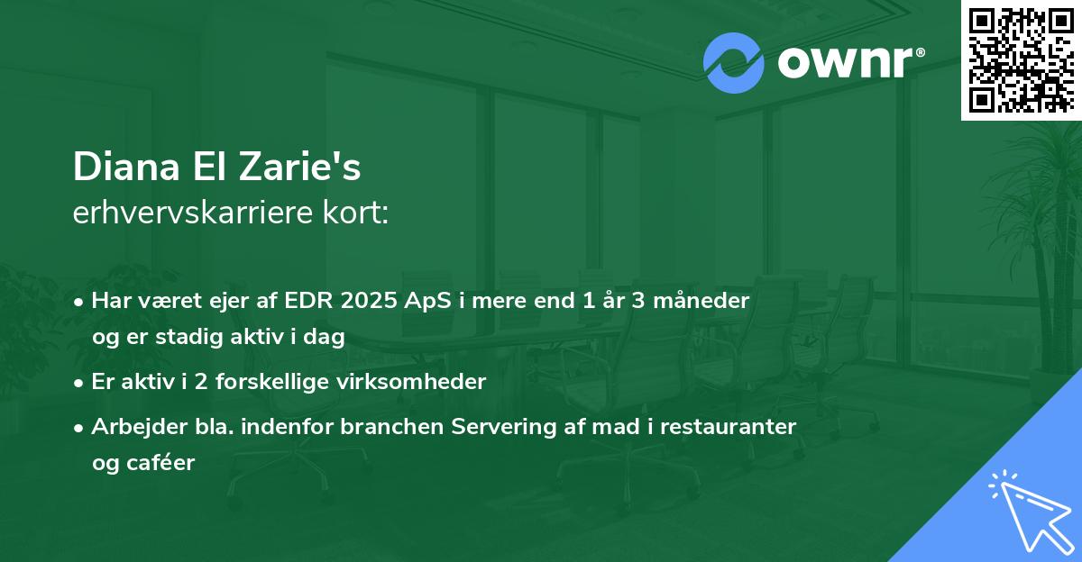 Diana El Zarie's erhvervskarriere kort