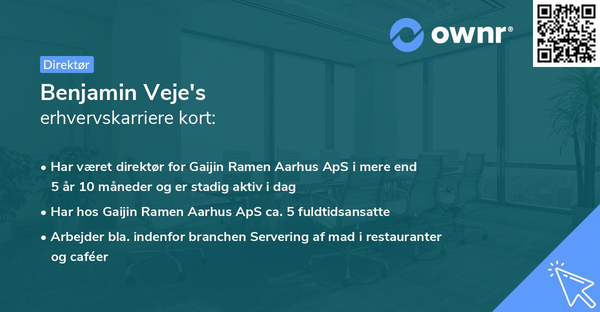 Benjamin Veje's erhvervskarriere kort