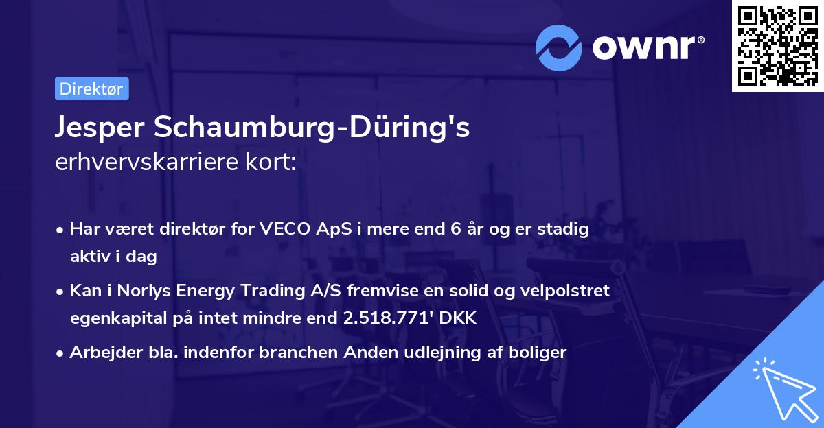 Jesper Schaumburg-Düring's erhvervskarriere kort