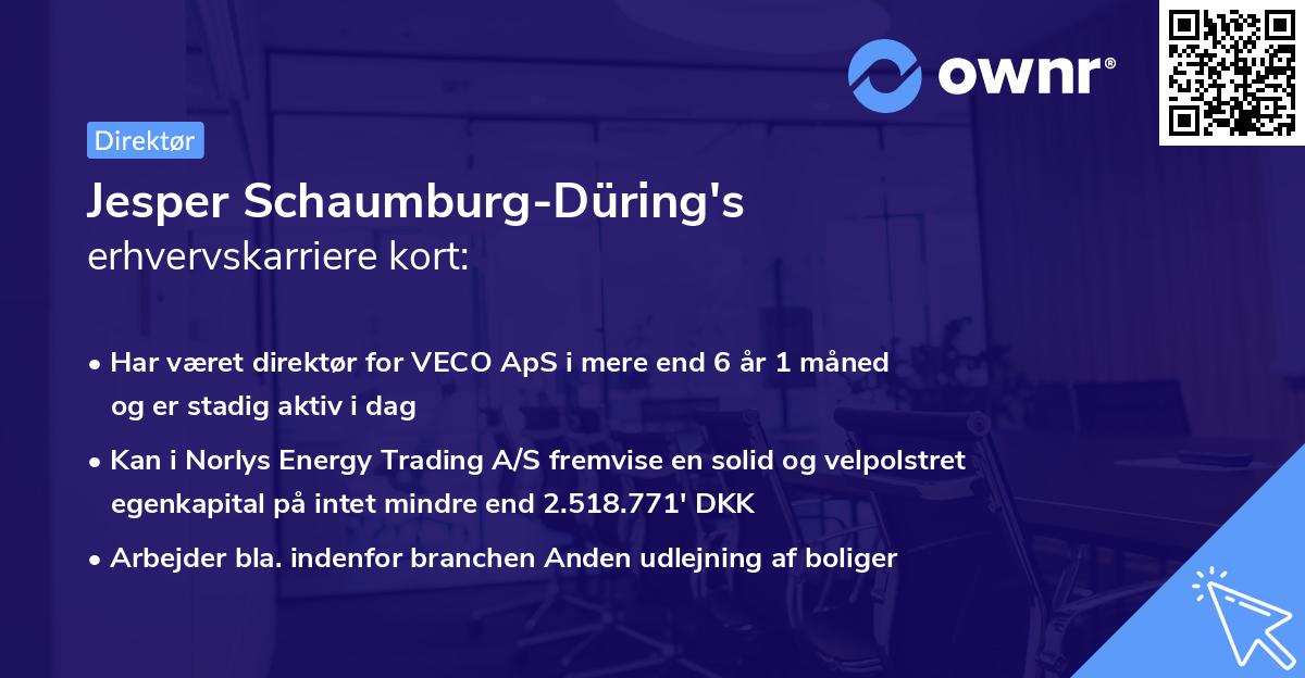 Jesper Schaumburg-Düring's erhvervskarriere kort