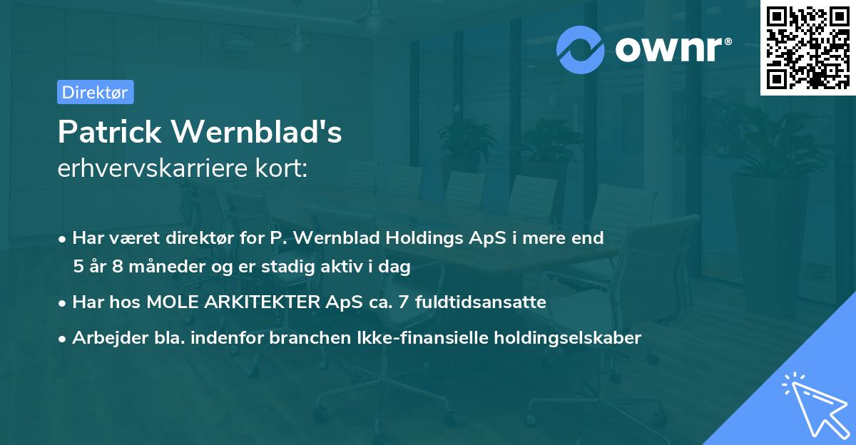 Patrick Wernblad's erhvervskarriere kort