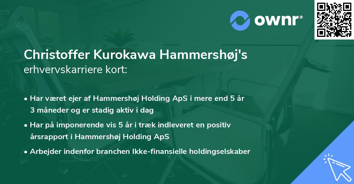 Christoffer Kurokawa Hammershøj's erhvervskarriere kort