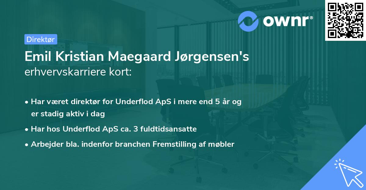 Emil Kristian Maegaard Jørgensen's erhvervskarriere kort