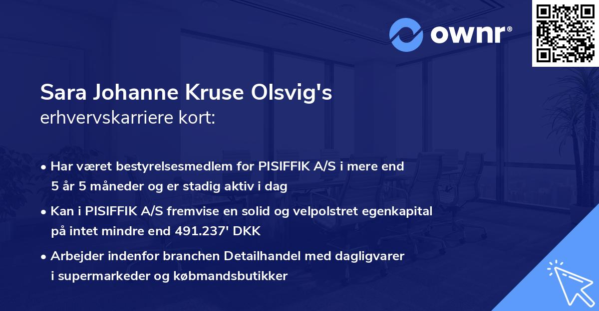 Sara Johanne Kruse Olsvig's erhvervskarriere kort