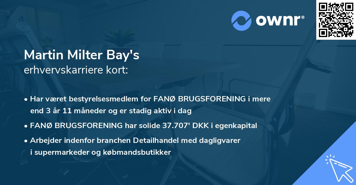 Martin Milter Bay's erhvervskarriere kort