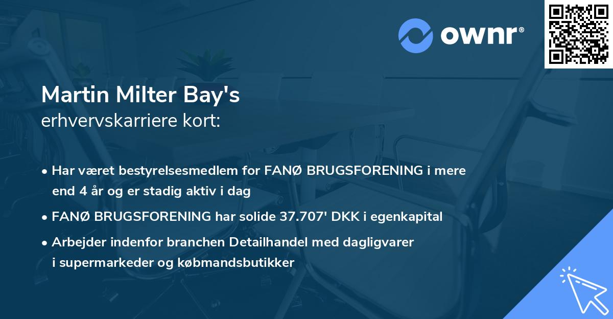 Martin Milter Bay's erhvervskarriere kort