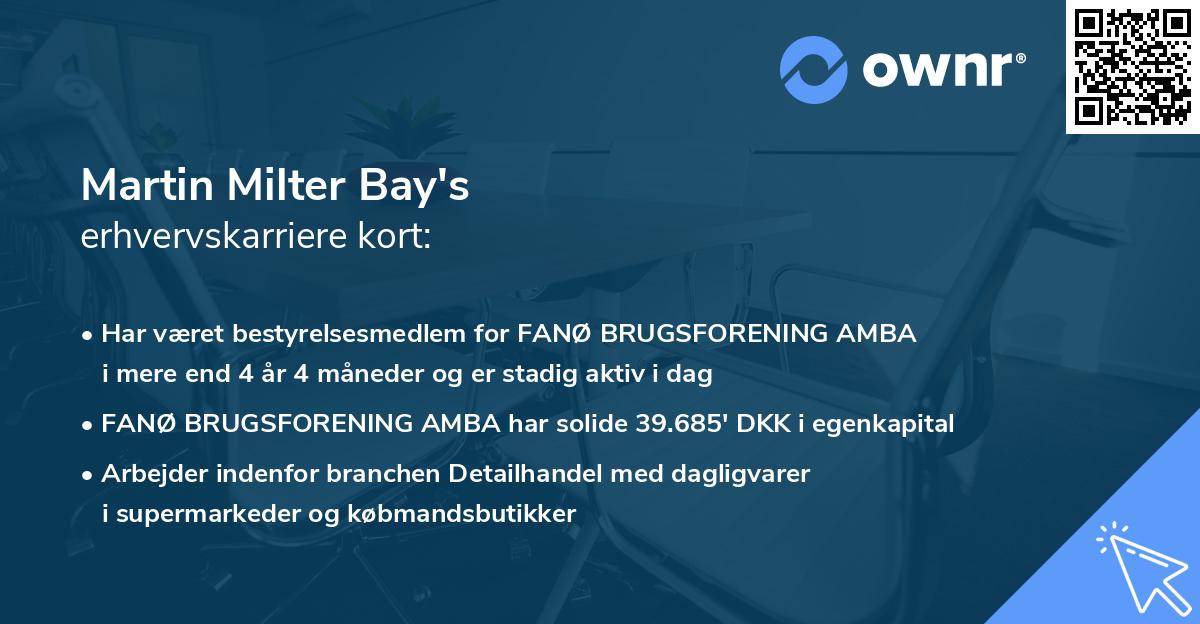 Martin Milter Bay's erhvervskarriere kort