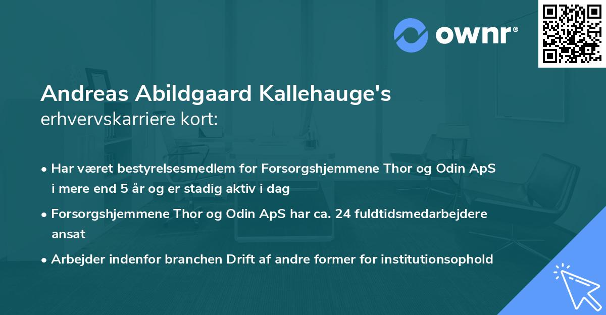 Andreas Abildgaard Kallehauge's erhvervskarriere kort