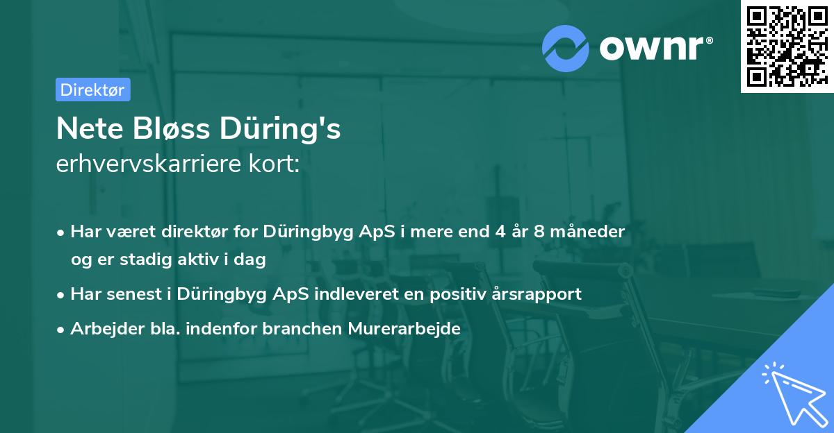 Nete Bløss Düring's erhvervskarriere kort