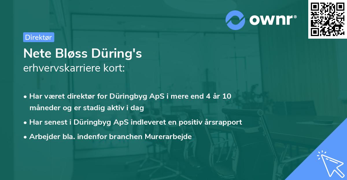 Nete Bløss Düring's erhvervskarriere kort