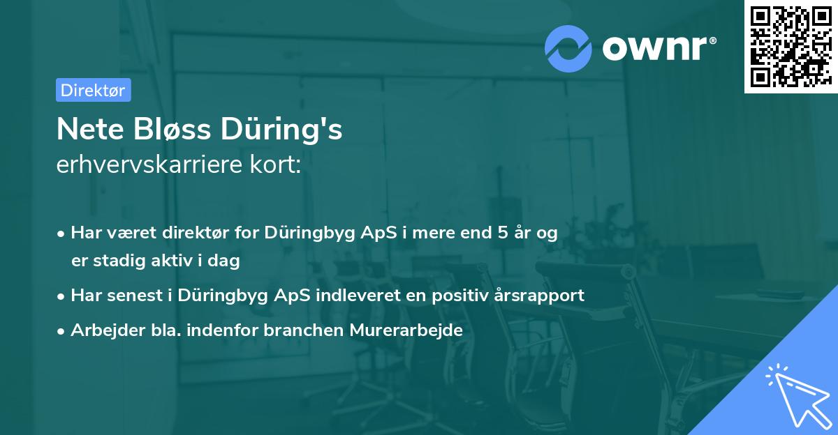 Nete Bløss Düring's erhvervskarriere kort