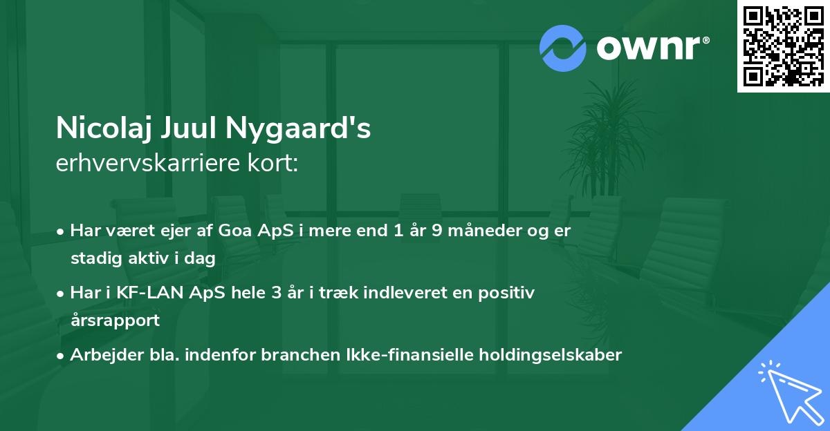 Nicolaj Juul Nygaard's erhvervskarriere kort