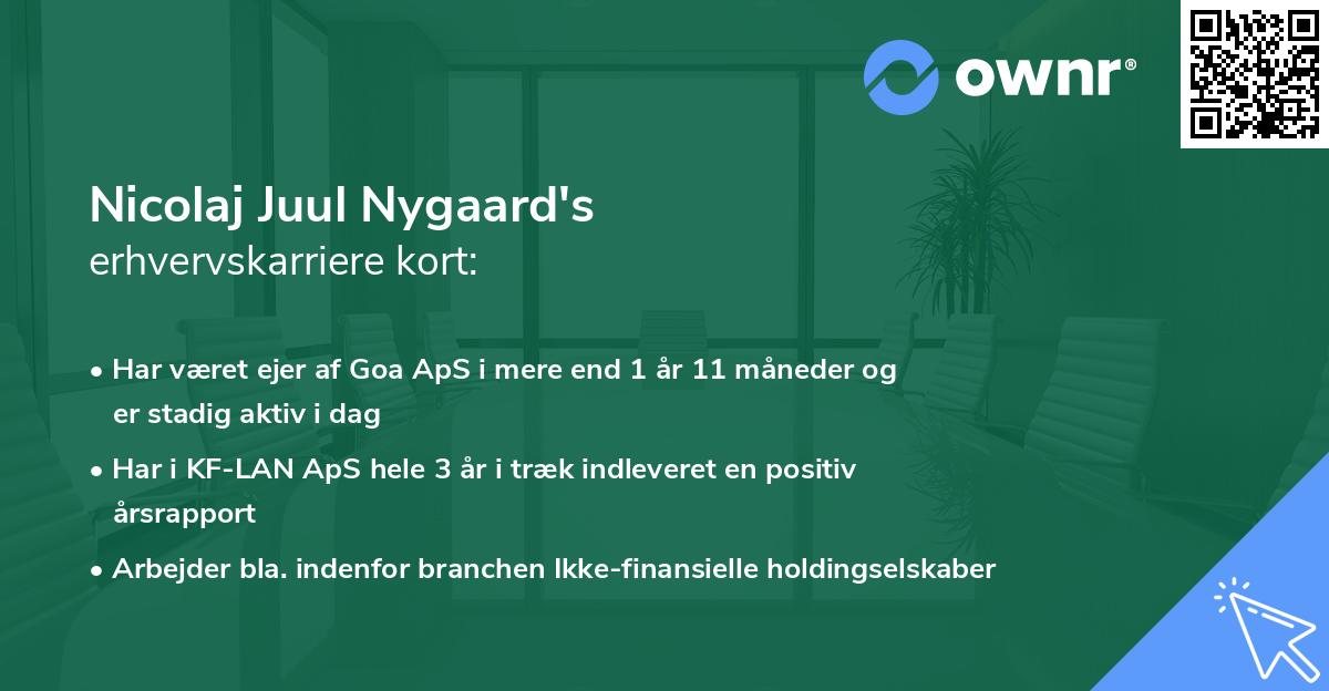 Nicolaj Juul Nygaard's erhvervskarriere kort