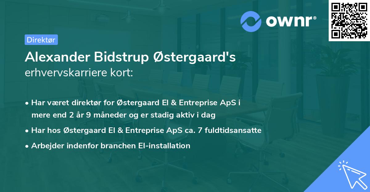 Alexander Bidstrup Østergaard's erhvervskarriere kort