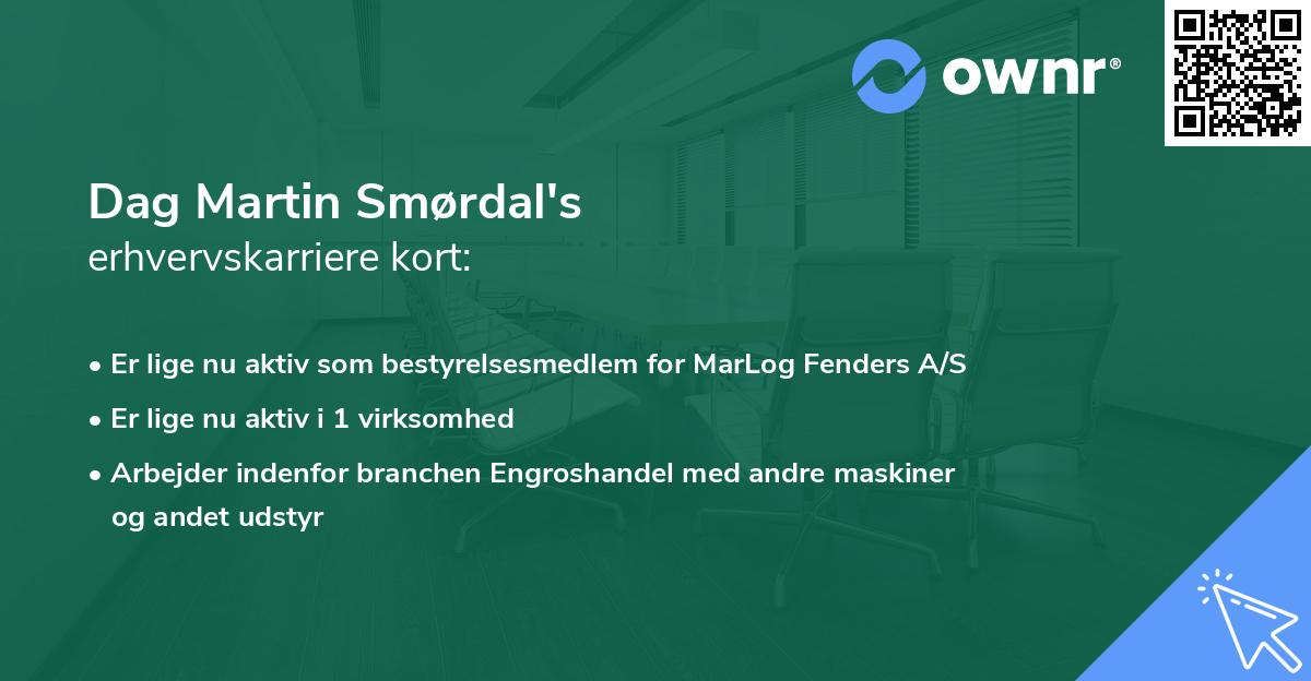 Dag Martin Smørdal's erhvervskarriere kort