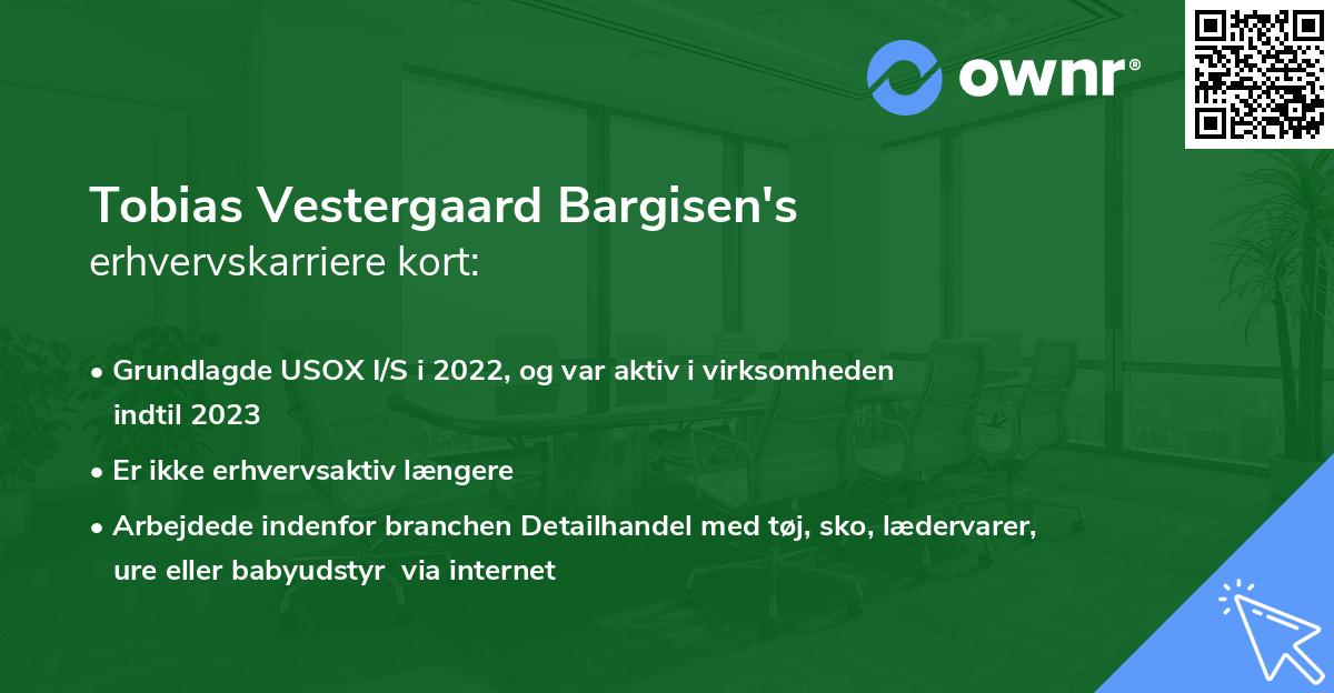 Tobias Vestergaard Bargisen's erhvervskarriere kort