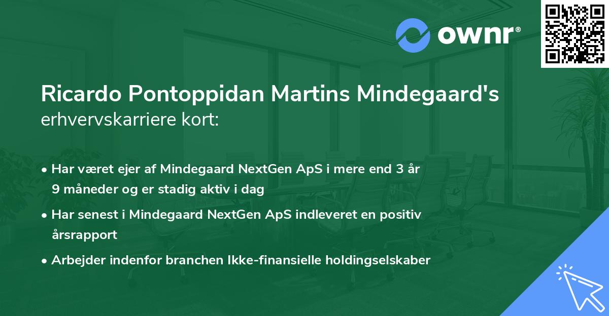 Ricardo Pontoppidan Martins Mindegaard's erhvervskarriere kort