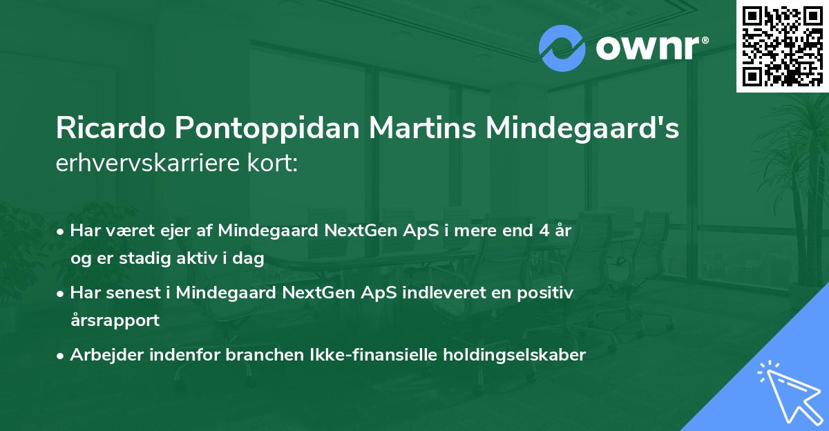 Ricardo Pontoppidan Martins Mindegaard's erhvervskarriere kort