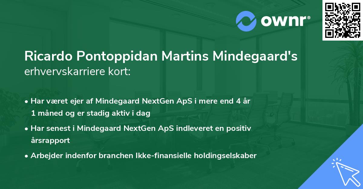 Ricardo Pontoppidan Martins Mindegaard's erhvervskarriere kort