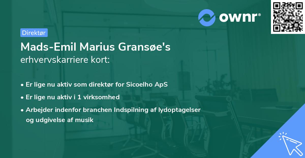 Mads-Emil Marius Gransøe's erhvervskarriere kort