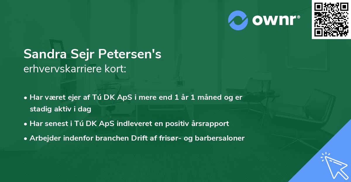 Sandra Sejr Petersen's erhvervskarriere kort