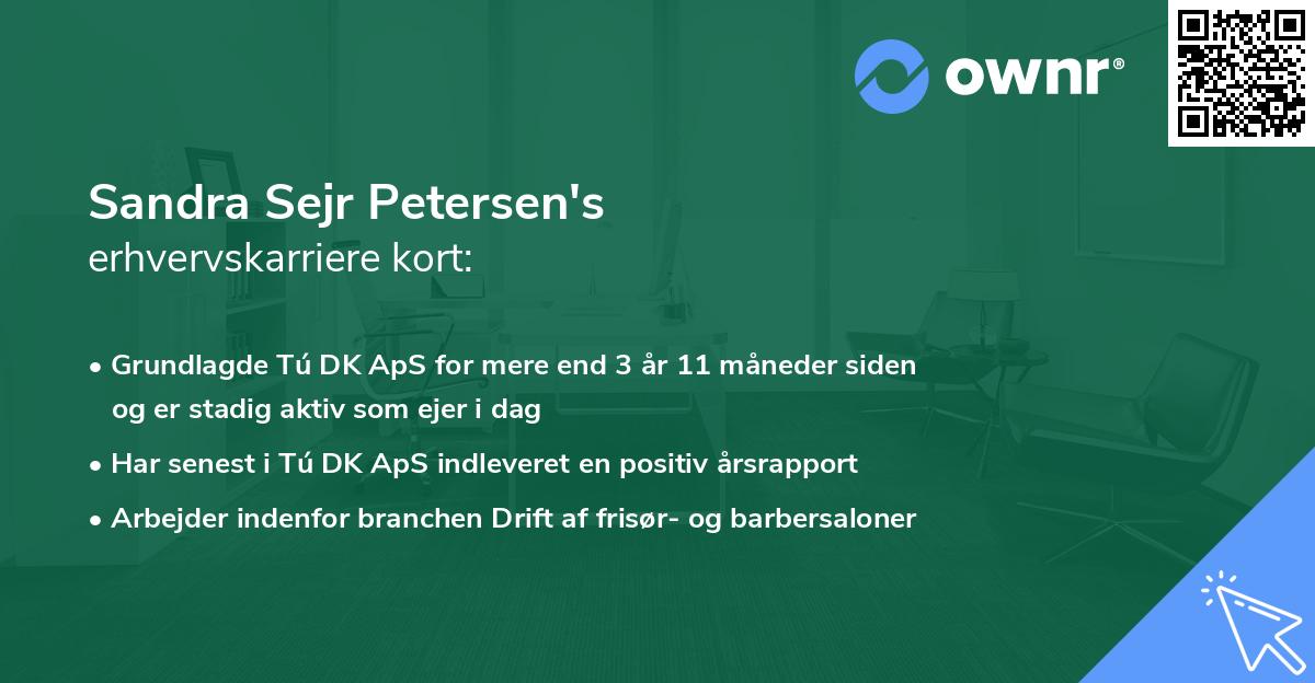 Sandra Sejr Petersen's erhvervskarriere kort