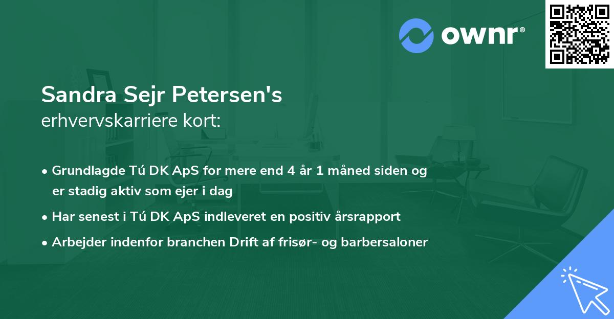 Sandra Sejr Petersen's erhvervskarriere kort