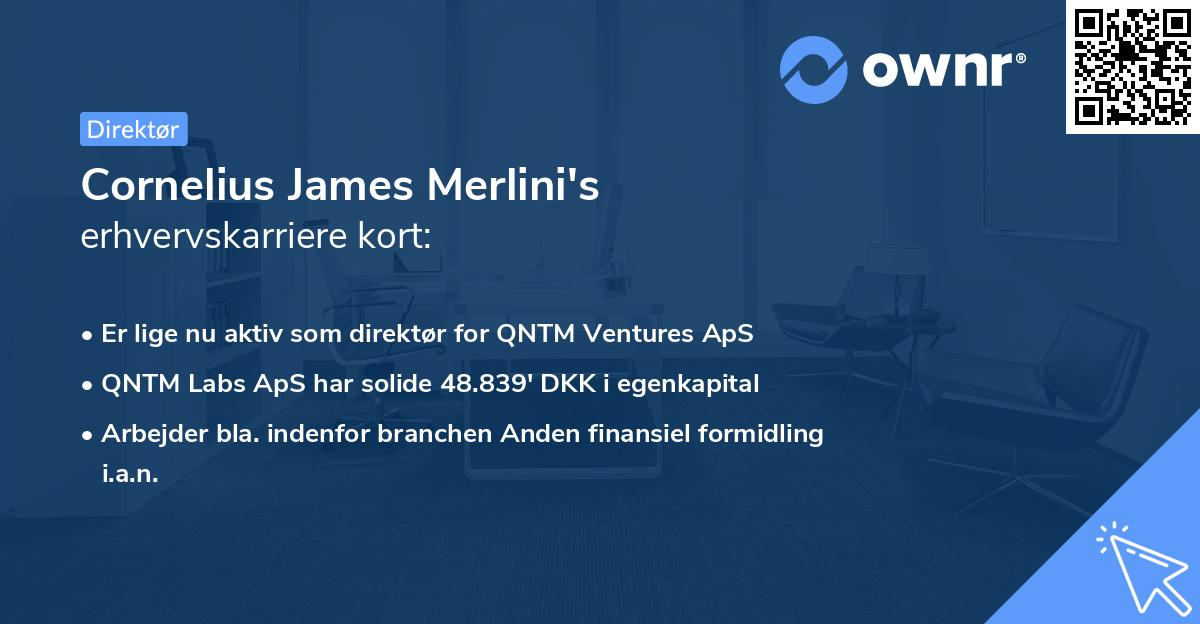 Cornelius James Merlini's erhvervskarriere kort