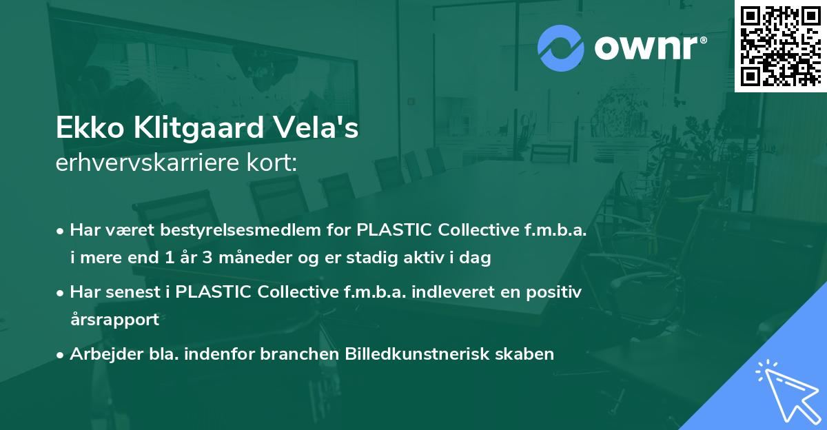 Ekko Klitgaard Vela's erhvervskarriere kort