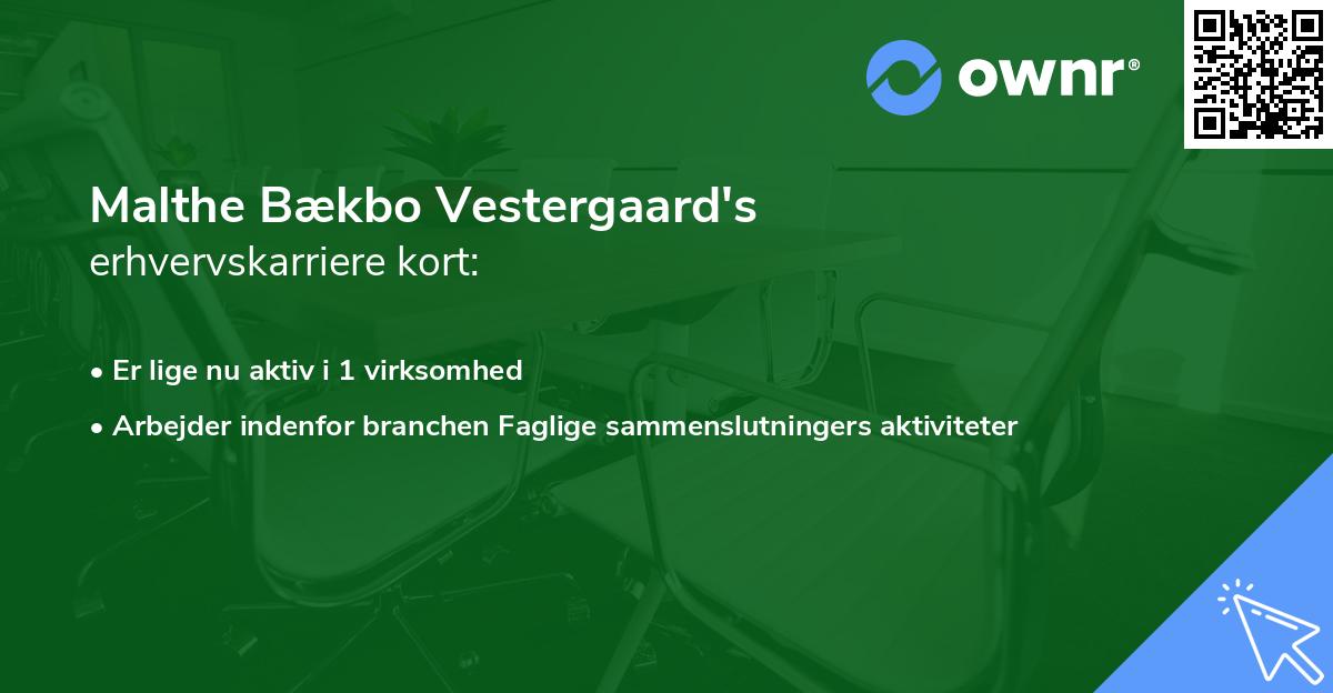 Malthe Bækbo Vestergaard's erhvervskarriere kort