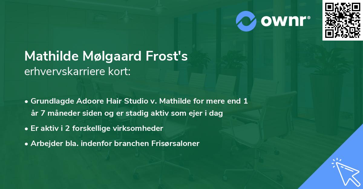 Mathilde Mølgaard Frost's erhvervskarriere kort