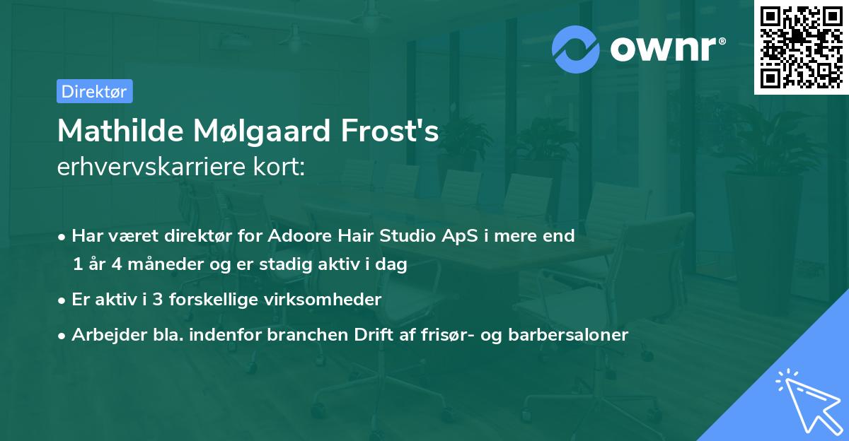 Mathilde Mølgaard Frost's erhvervskarriere kort