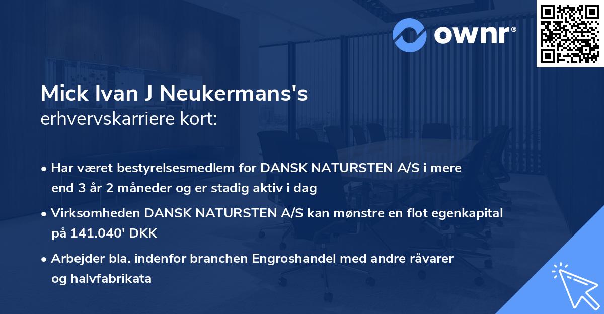 Mick Ivan J Neukermans's erhvervskarriere kort