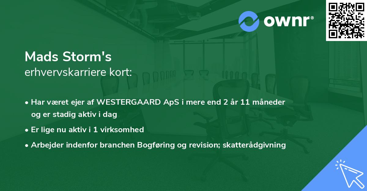 Mads Storm's erhvervskarriere kort